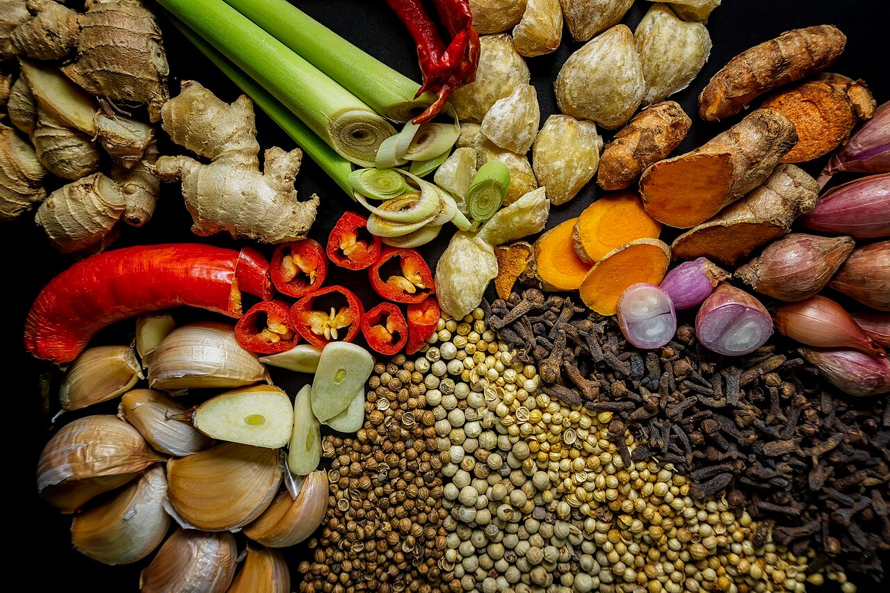Whole roots, barks, seeds and dried spices laid out side by side